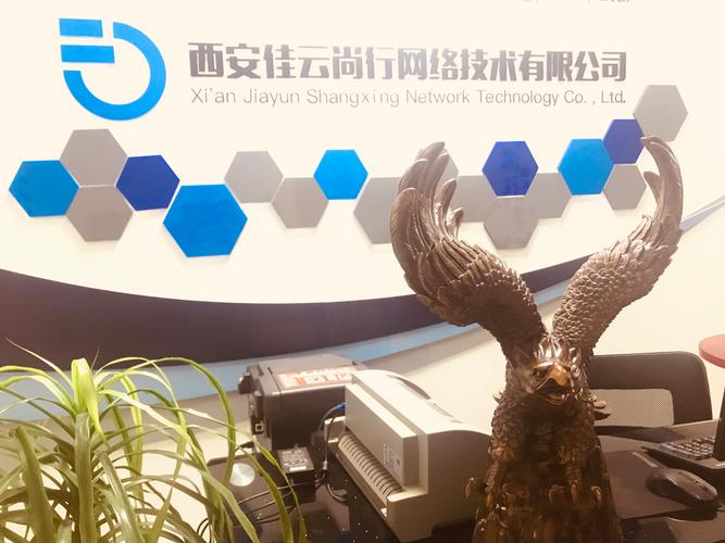 西安佳云尚行网络技术